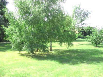 La Maison Tournesol - 3 Bedroom House With Large Garden Near Saumur Saint-Martin-de-la-Place Bagian luar foto
