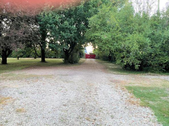 La Maison Tournesol - 3 Bedroom House With Large Garden Near Saumur Saint-Martin-de-la-Place Bagian luar foto